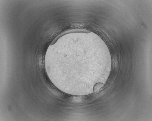 X0000115030134200912071056