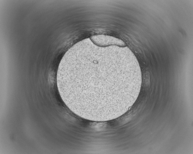 X0000115030135200912071056