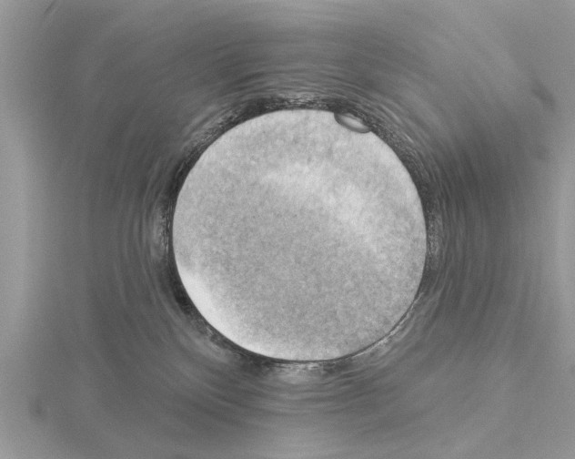 X0000115030136200912071056