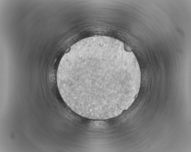 X0000115030137200912071056