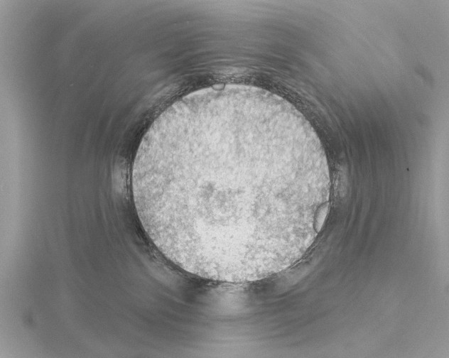 X0000115030138200912071056