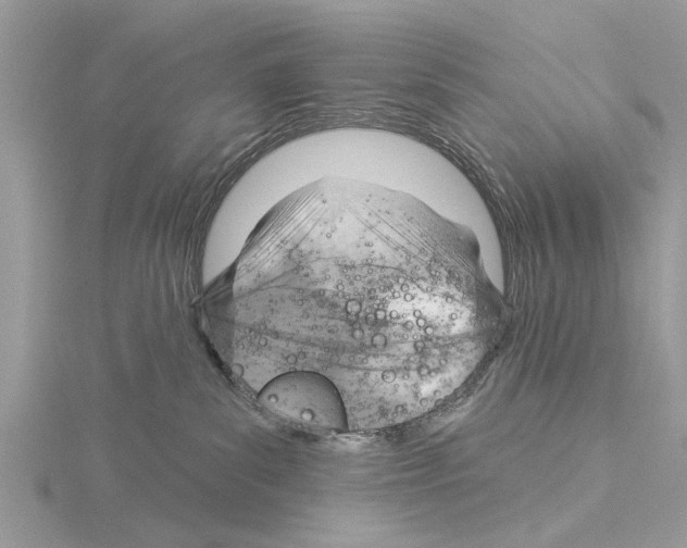 X0000115030139200912071056