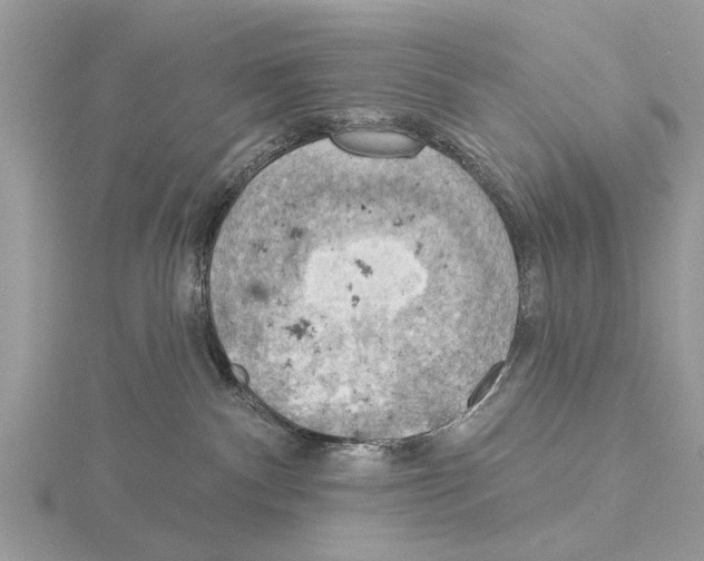 X0000115030140200912071056