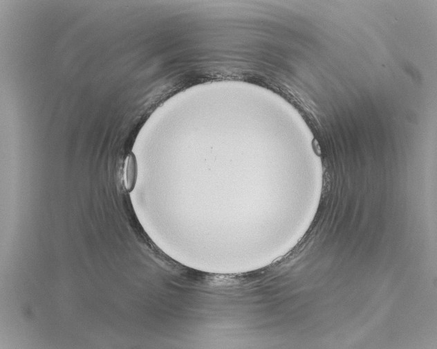 X0000115030141200912071056