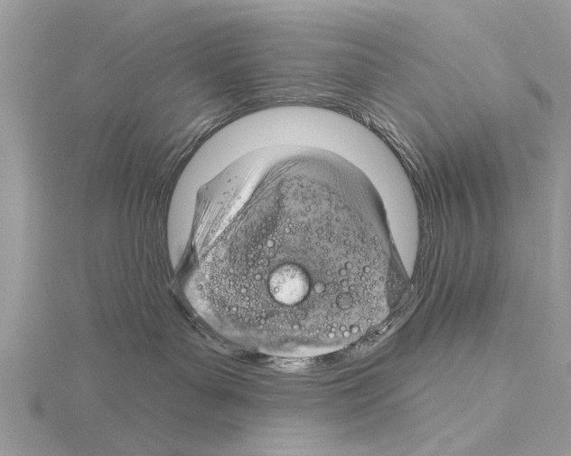 X0000115030143200912071056