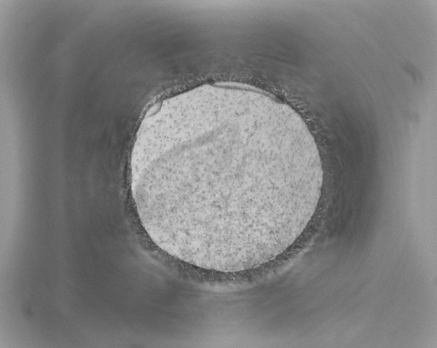 X0000115030144200912071056