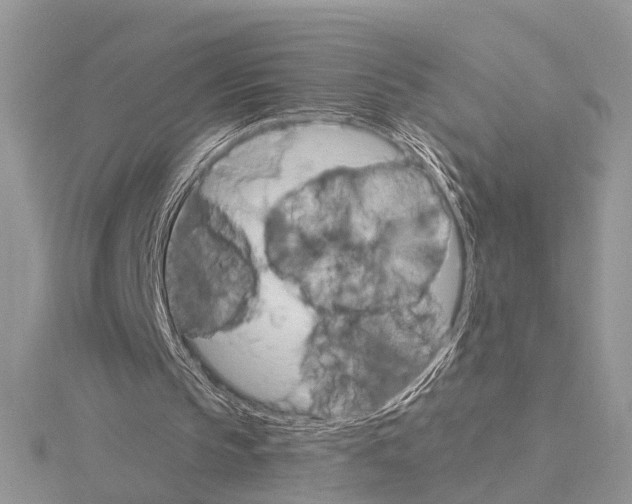 X0000115030145200912071055