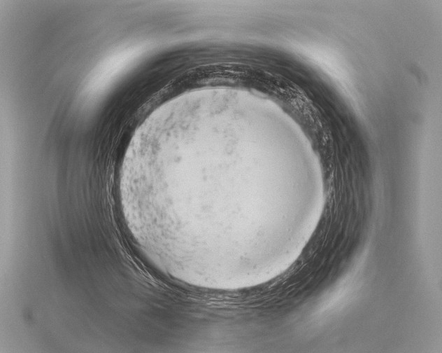 X0000115030146200912071055