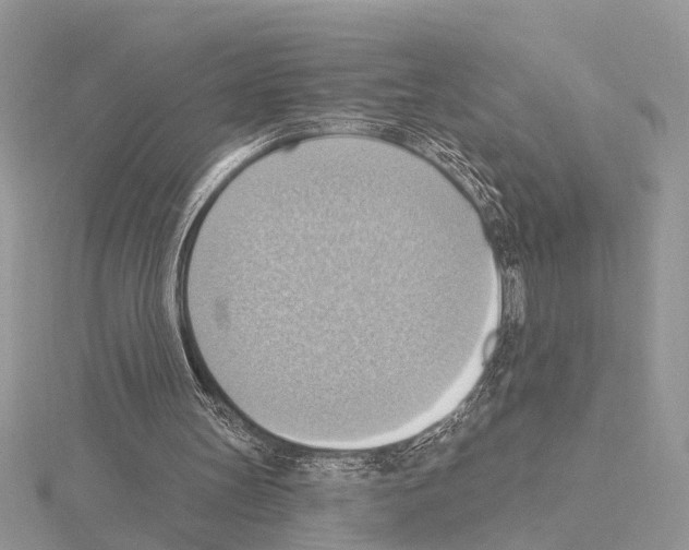 X0000115030147200912071055