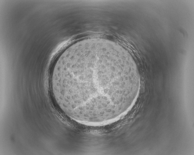 X0000115030149200912071055