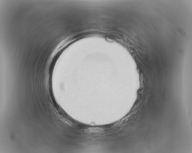 X0000115030150200912071055