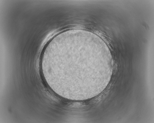 X0000115030151200912071055