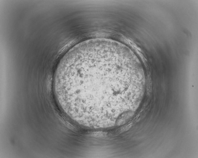 X0000115030153200912071055