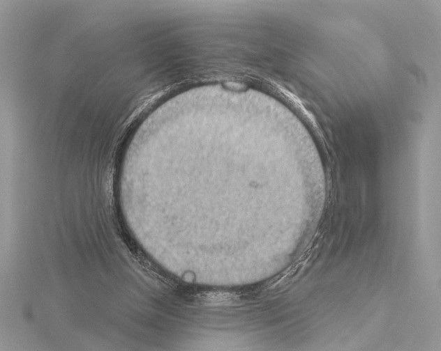 X0000115030154200912071055