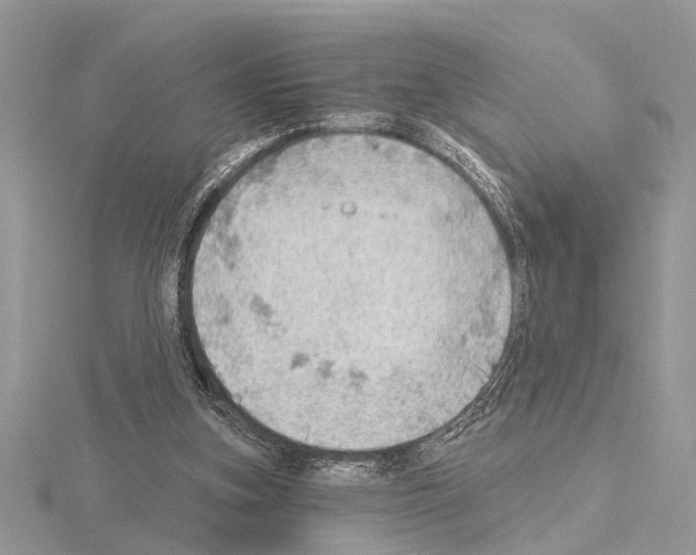 X0000115030155200912071055