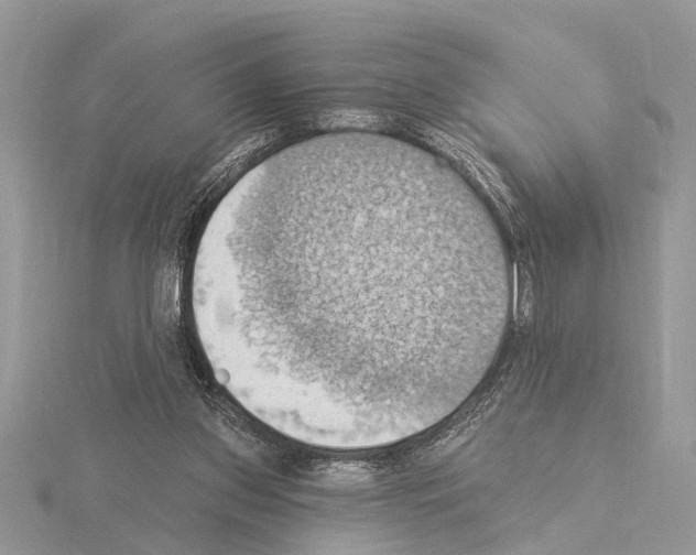 X0000115030157200912071055