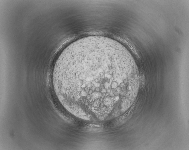 X0000115030159200912071056