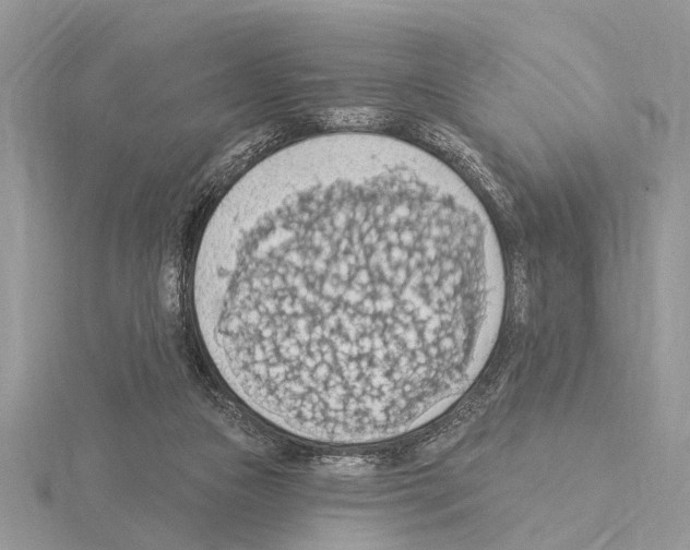 X0000115030161200912071056