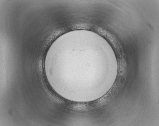 X0000115030162200912071056