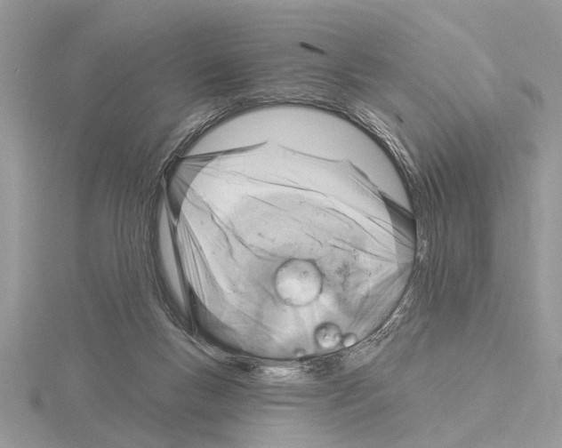 X0000115030167200912071056