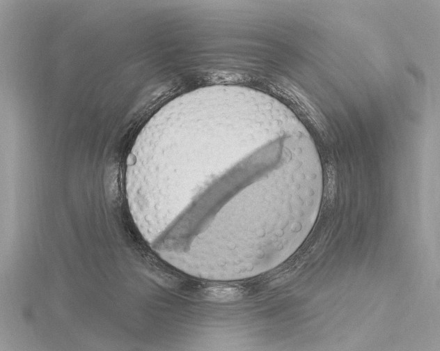 X0000115030169200912071056