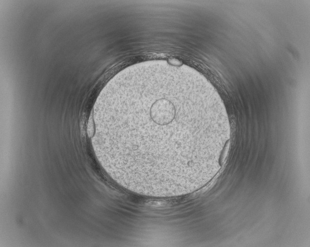 X0000115030174200912071056