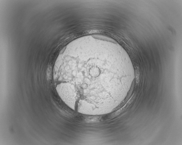 X0000115030175200912071056