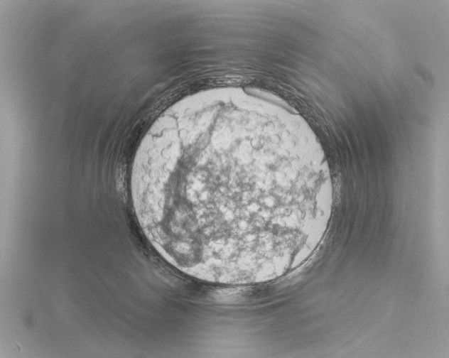 X0000115030178200912071056