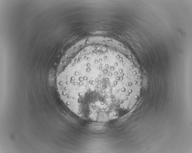 X0000115030179200912071056