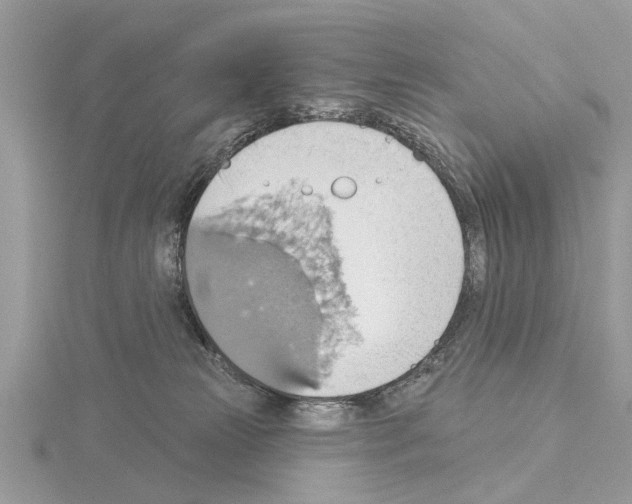 X0000115030181200912071056