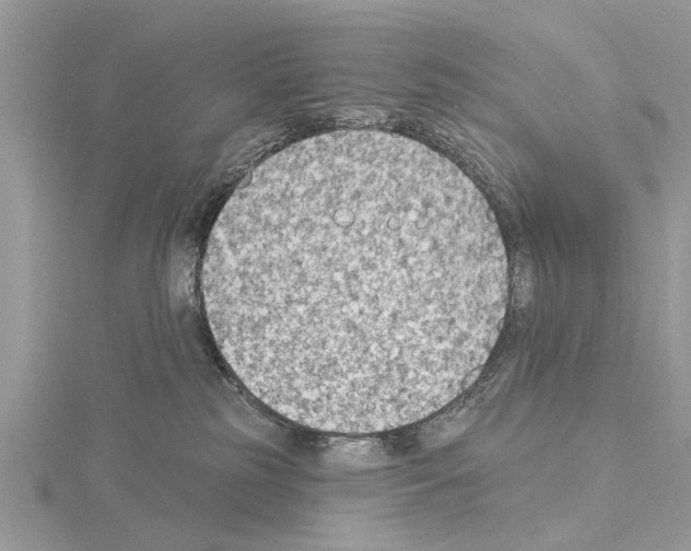 X0000115030185200912071056