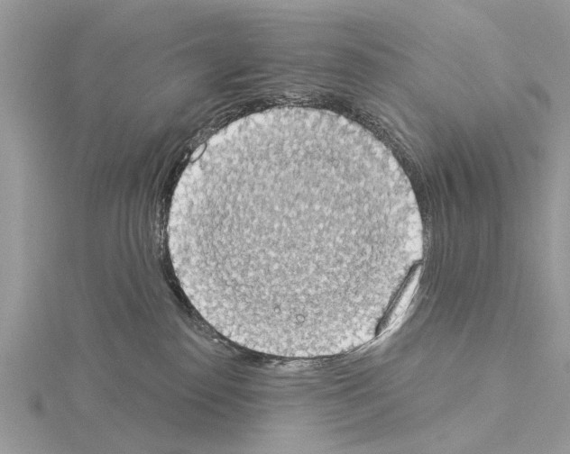 X0000115030186200912071056