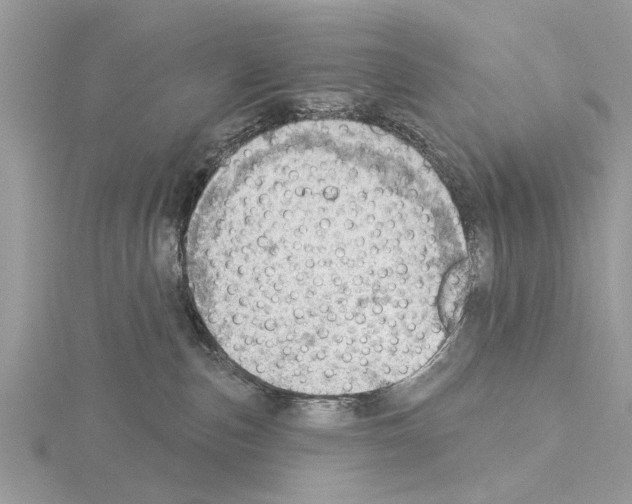 X0000115030187200912071056