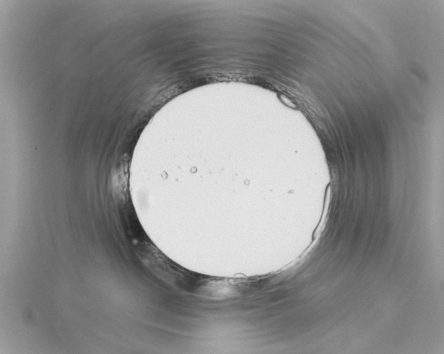 X0000115030190200912071056