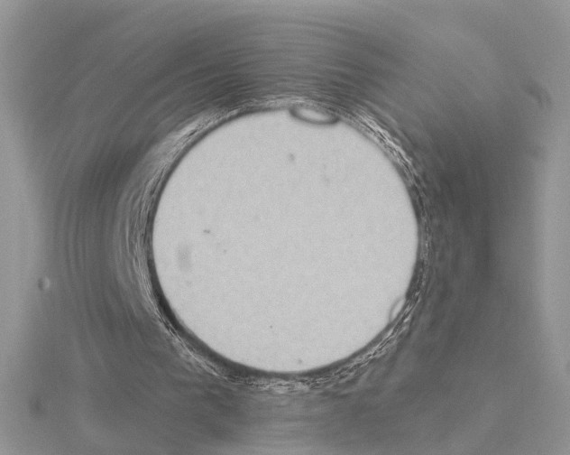 X0000115030193200912071055