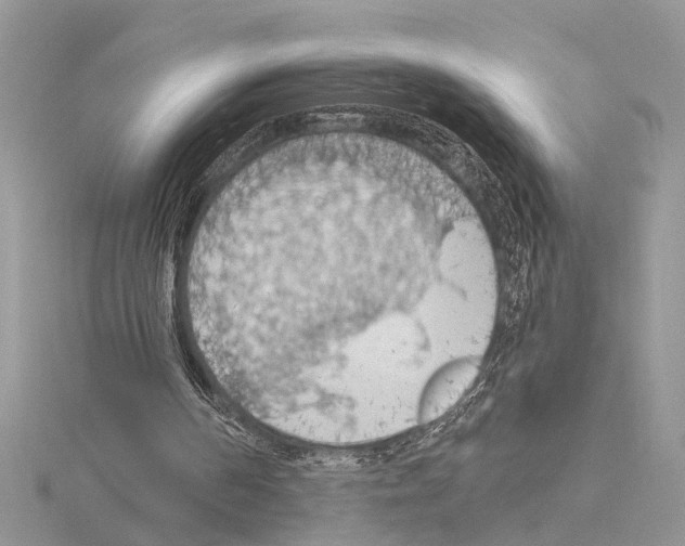 X0000115030194200912071055