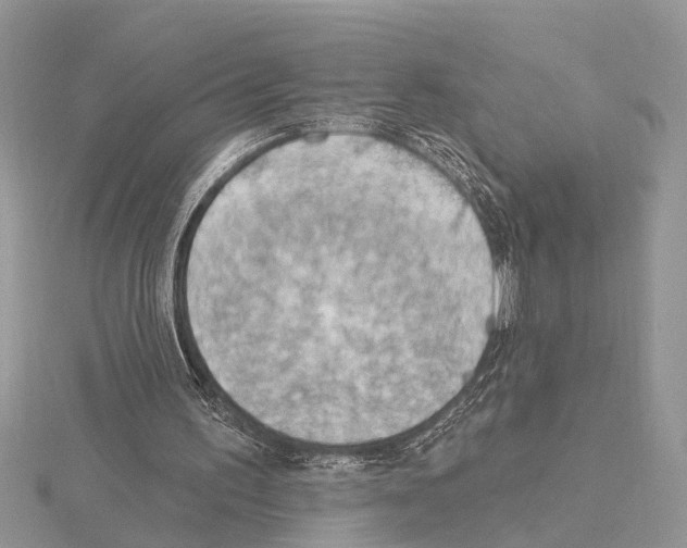 X0000115030195200912071055