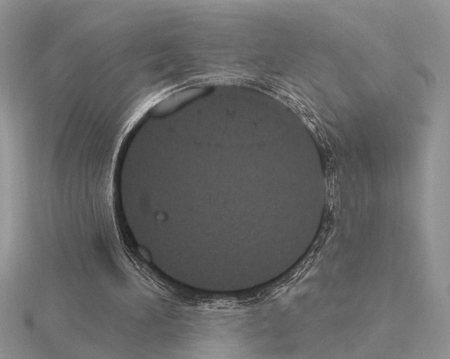 X0000115030196200912071055