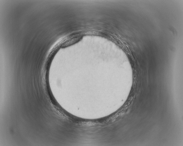 X0000115030197200912071055