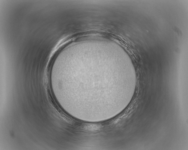 X0000115030198200912071055