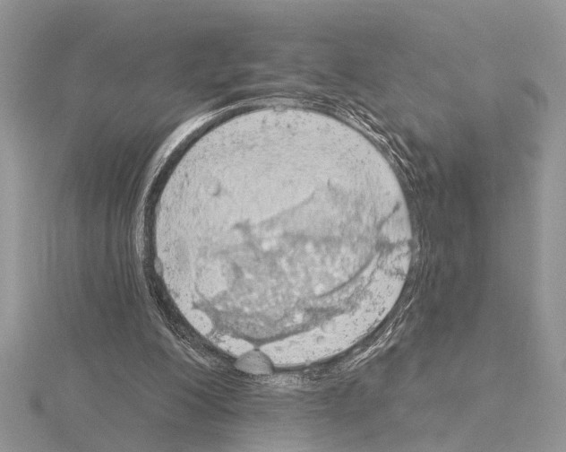 X0000115030200200912071055