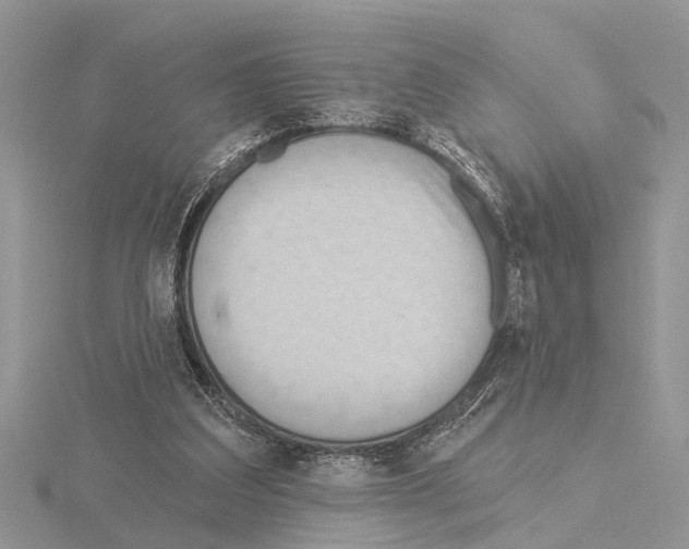 X0000115030203200912071055