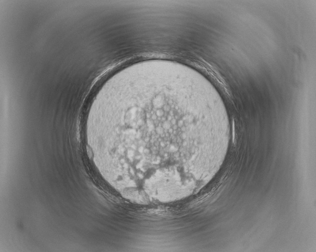 X0000115030204200912071055