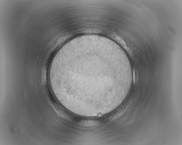 X0000115030205200912071055