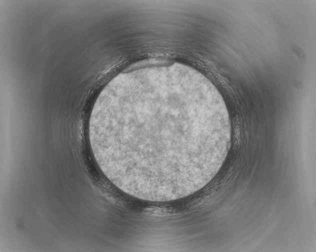 X0000115030211200912071055