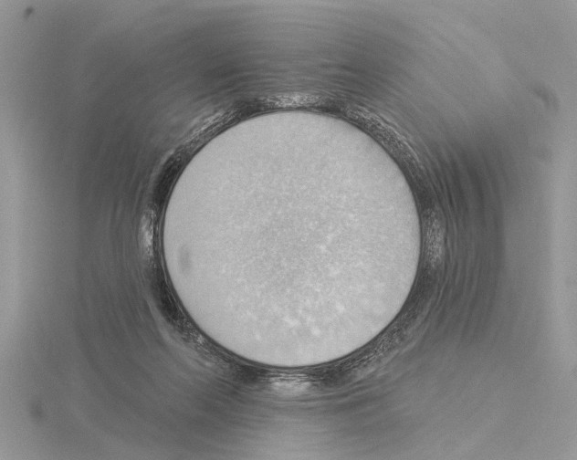 X0000115030214200912071055