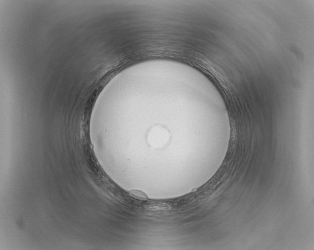 X0000115030215200912071055