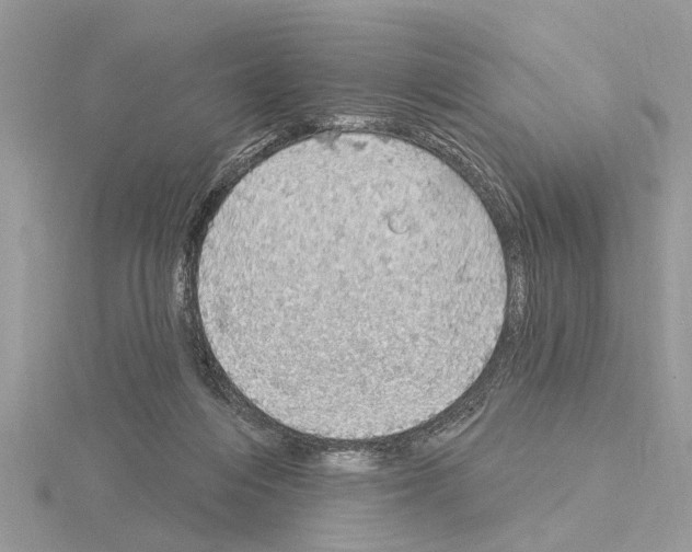 X0000115030216200912071055