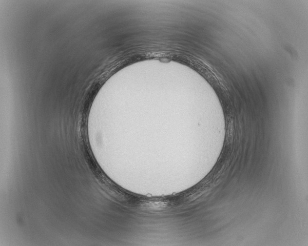 X0000115030217200912071055