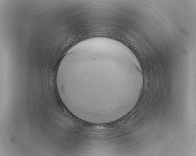 X0000115030219200912071055